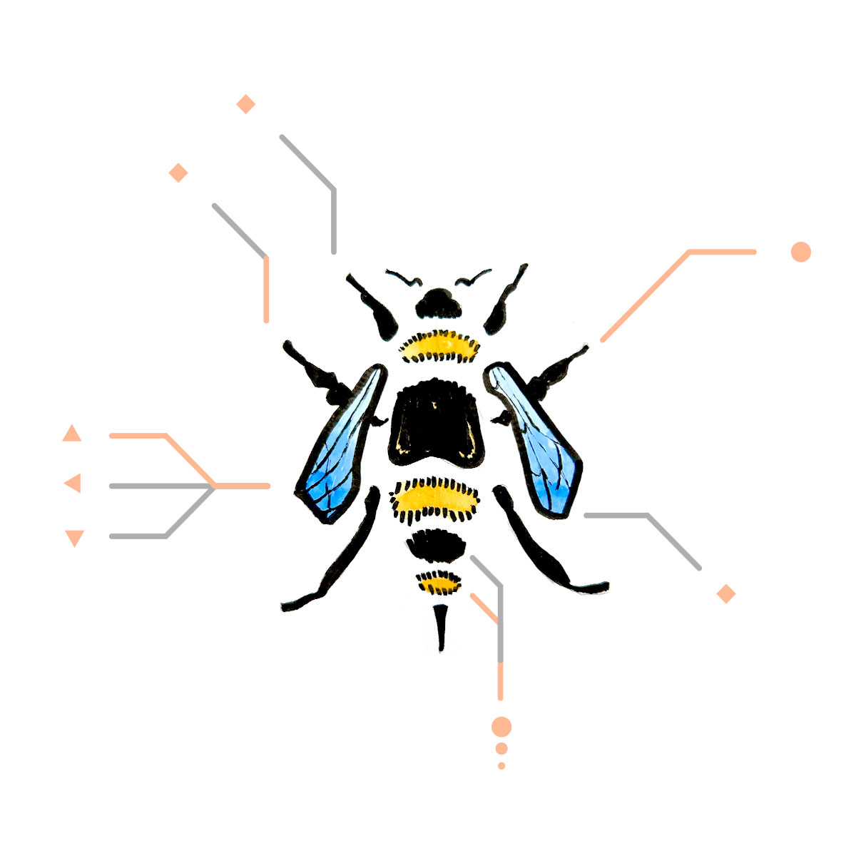 eBPF Safety in Production