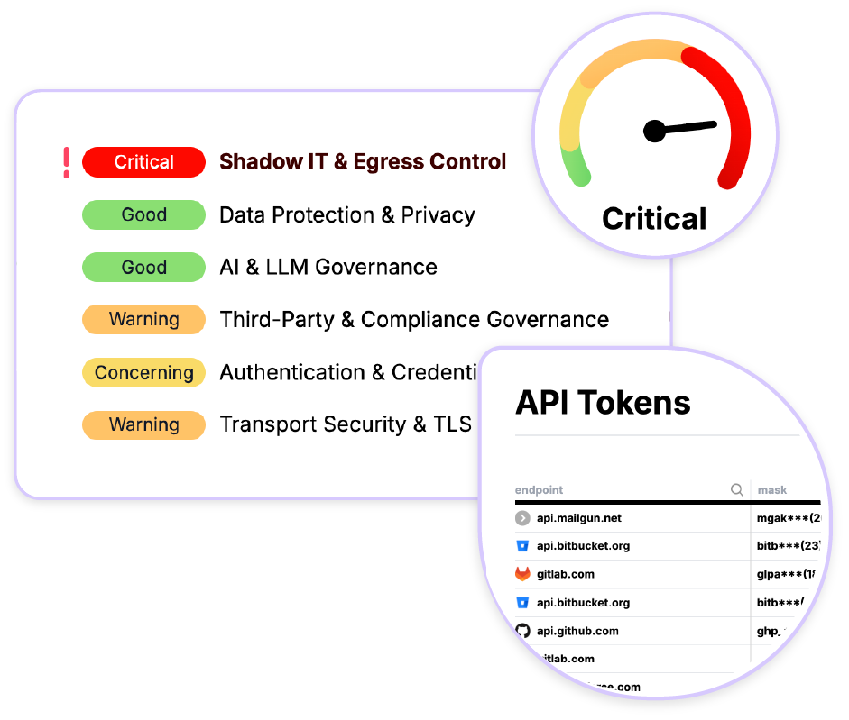QPoint platform dashboard showing encrypted traffic visibility